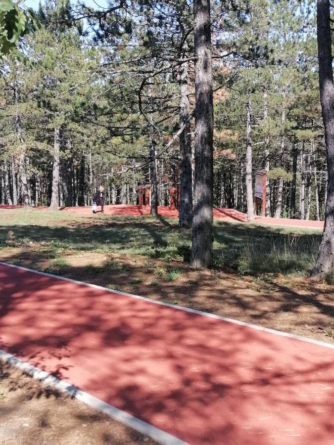 Villa Bozovic Zlatibor Exteriör bild