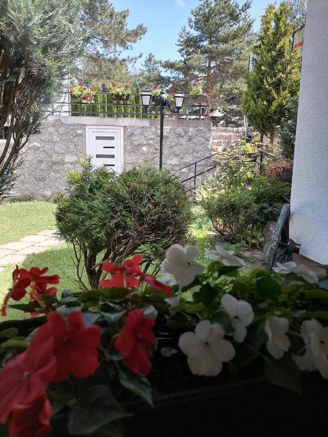 Villa Bozovic Zlatibor Exteriör bild