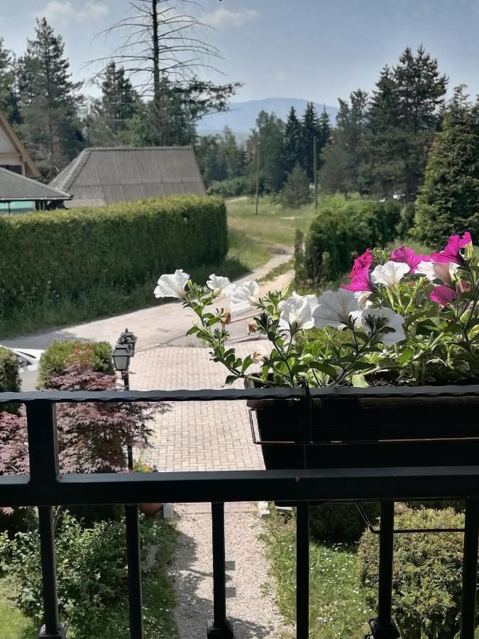 Villa Bozovic Zlatibor Exteriör bild