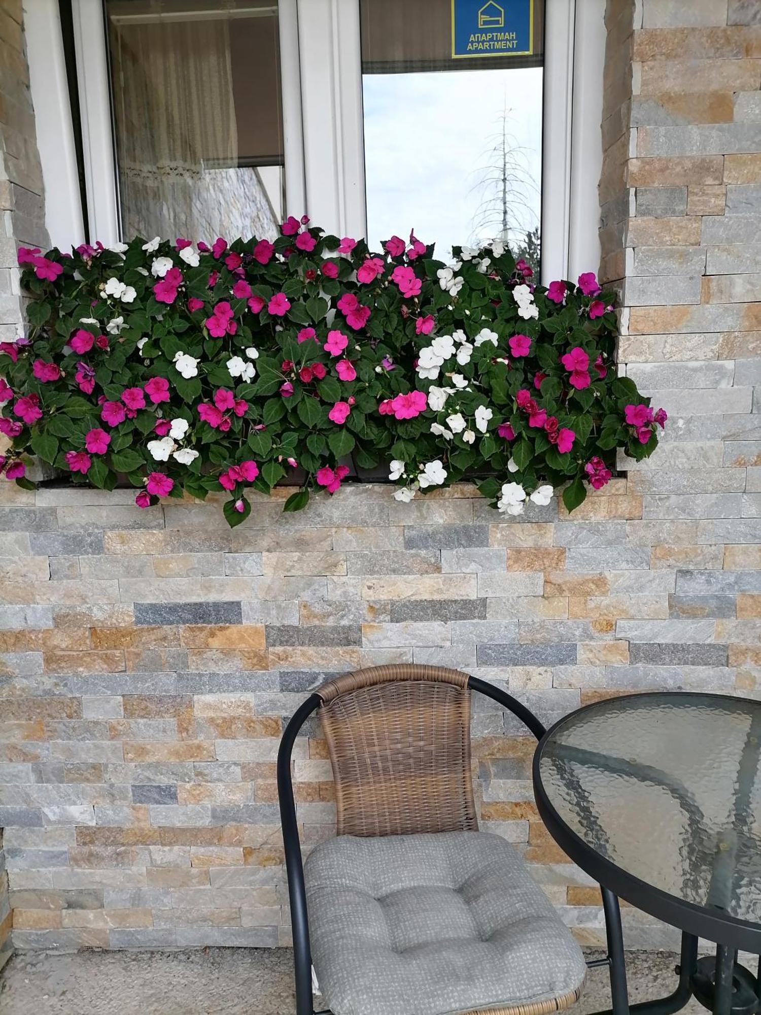 Villa Bozovic Zlatibor Exteriör bild